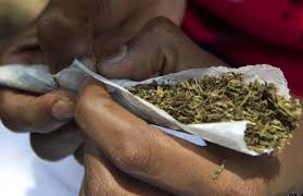 6 suspected wee smokers arrested in Asunafo